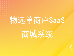 物远B2C商城SaaS版本更新日志